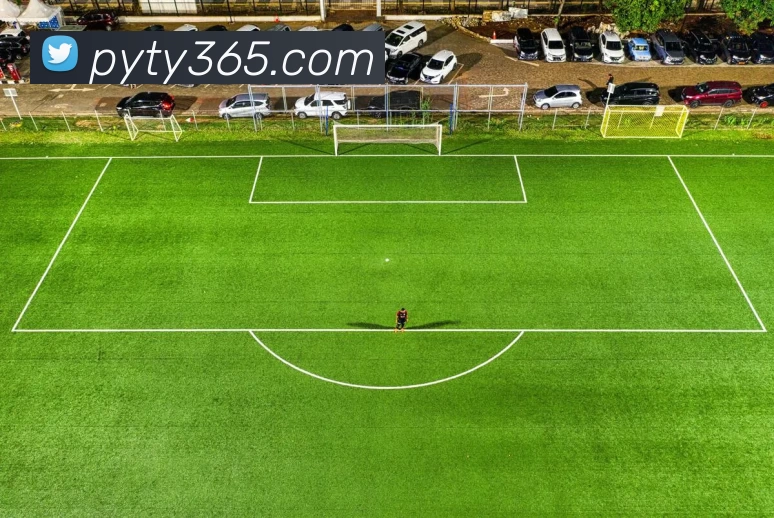 多媒体互动体验