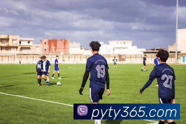 派亿体育365APP 体育赛事宣传图